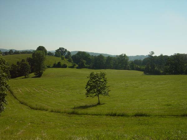 property may 26 2005 010