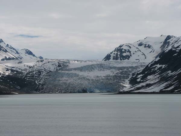 Glacier Bay (87)