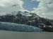 Glacier Bay (15)