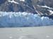 Glacier Bay (52)