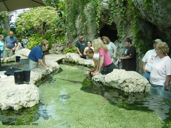 Jean and Halsey learning