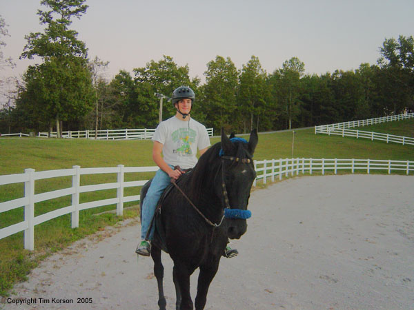 028 back at the ranch